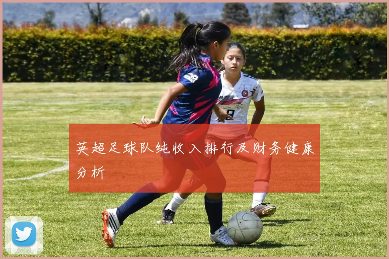 英超足球队纯收入排行及财务健康分析